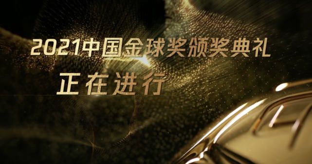 叶辰见两人终于消停，这才转身坐电梯去了地下一层，从储藏室里，取出两瓶茅台、两瓶红酒。